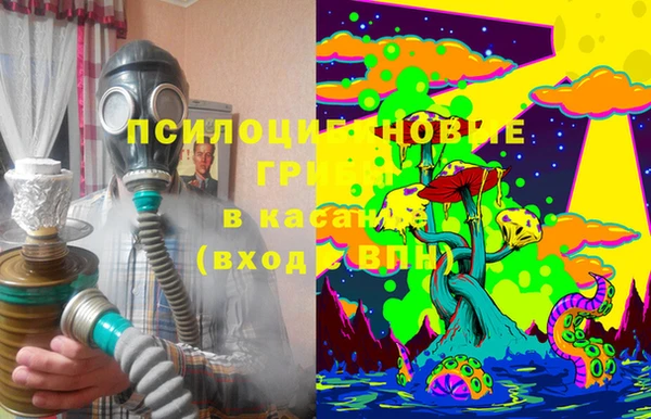 соль ск Алзамай