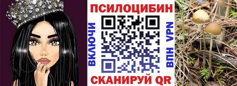 Галлюциногенные грибы ЛСД  Яровое 